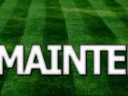 LAWN MAINTENANCE 817 615 0414