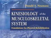 Kinesiology of the Musculoskeletal System Foundations for Physical Rehabilitation by Donald A. Neuma