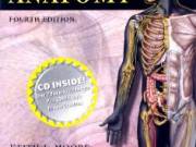 Clinically Oriented Anatomy, Fourth Edition [Paperback]