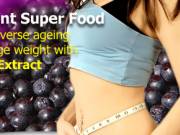 The # 1 Anti - Oxident Super Food