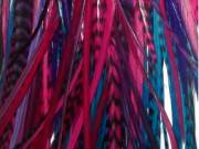 Pack of berry mixed feathers