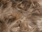 Fur Bedspread
