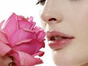 Smell Loss and Taste Disorders Treatments in Houston City - Call HASC Now!