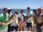 Enjoy Deep Sea Fishing Trips with SYL Charters