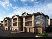 Trust United Renovations for Multifamily Restoration Services