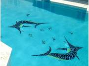 Parkland Swimming Pool Leak Detection