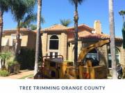 Tree Trimming Orange County CA