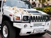Hollywood Stars Limo