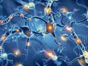 Physiotherapy Helps To Restore Functions for Neurological Disorders