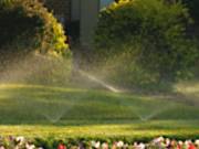 Cut your Watering Bill up to 50 of Your Lawn