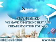 cheap flights from San Francisco to Tampa