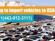 licensed customs broker usa