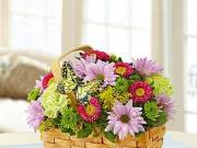 Florist Spencer - House Warming Flowers Jacksonville FL