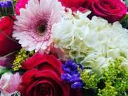 Jacksonville Flowers| Spencer Florist Jacksonville FL