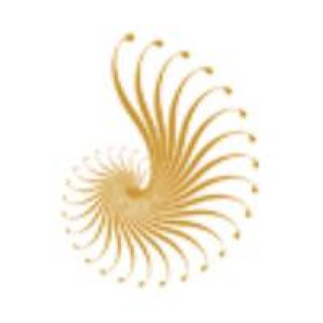 High-rated, professional plastic surgeon in Tucson - Picture