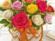 Florist Jacksonville - Spencers Florist Jacksonville FL