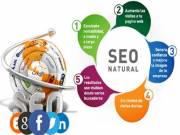 Professional SEO Services in USA | SEO Services Company USA