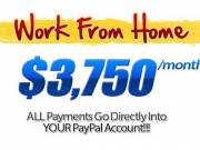Superb Home Business Opportunity