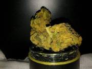 Top shelf buds,kush,cannabis,oils and vapes