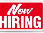 WORK FROM HOME (CALL REP)