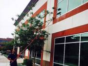Commercial & Industrial Janitorial Cleaning Services at Great Prices