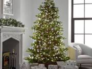 Buy Decorative Festive Lights in the Form of Christmas Tree Lights Online