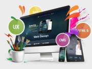 website Designing Company in Lucknow :: CodingClave.Tech