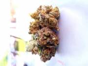 Fresh Bubba Kush text now +1(323)3754209