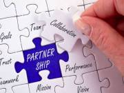 Looking for a Partner
