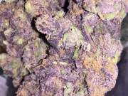 grower and distributor of top quality weeds and marijuana