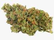 TOP QUALITY CBD OILS AND  AAA+ NEW STRAINS