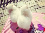 Outstanding Pomeranian puppies ready to join a new home 
