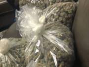 Medical marijuana 