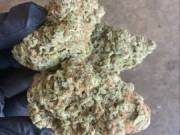 Medical marijuana 
