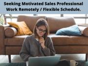 Motivated Sales Professionals - Work Remotely