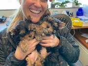 We have two beautiful Male and Female Yorkie puppies text +1 (774) 247-0685