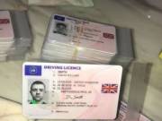 Purchase Drivers License Online