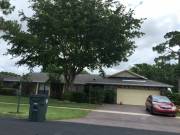 Emergency Roof Repairs