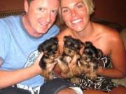 male and female yorkie puppies for adoption