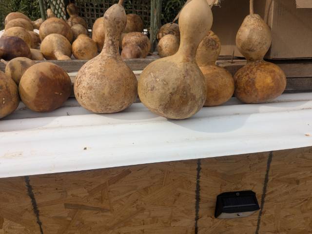 Check Out All For Sale  - Picture