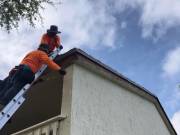 Roof Damage Repairs