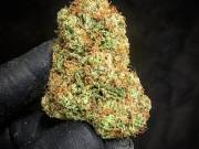 Mighty Tree