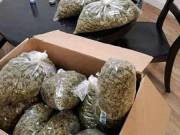 BUY HIGH QUALITY MEDICAL MARIJUANA AT AFFORDABLE PRICES.