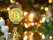  BITCOIN SOFTWARE GENERATORS AND OTHER TOOLS