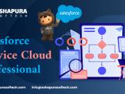 salesforce service cloud professional