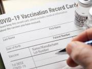 Buy Covid-19 Vaccination Record Card COD.