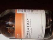  How to Buy Nembutal