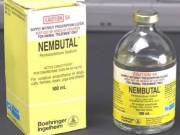 Buy Best Nembutal Online