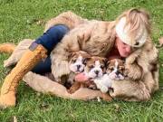 Thomson home for English bulldog puppies ready for your home(321)351-7591 