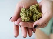 Köp cannabis Online https://ogräsapotek.com